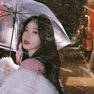 兔子镇的火狐狸